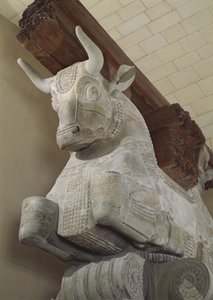 Hovedstad i persisk stil fra en søjle af Apadana, fra Darius den Stores palads i Susa, Iran, ca. 500 f.Kr. (kalksten)